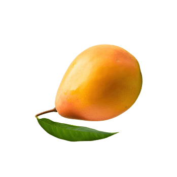 brand-management-image