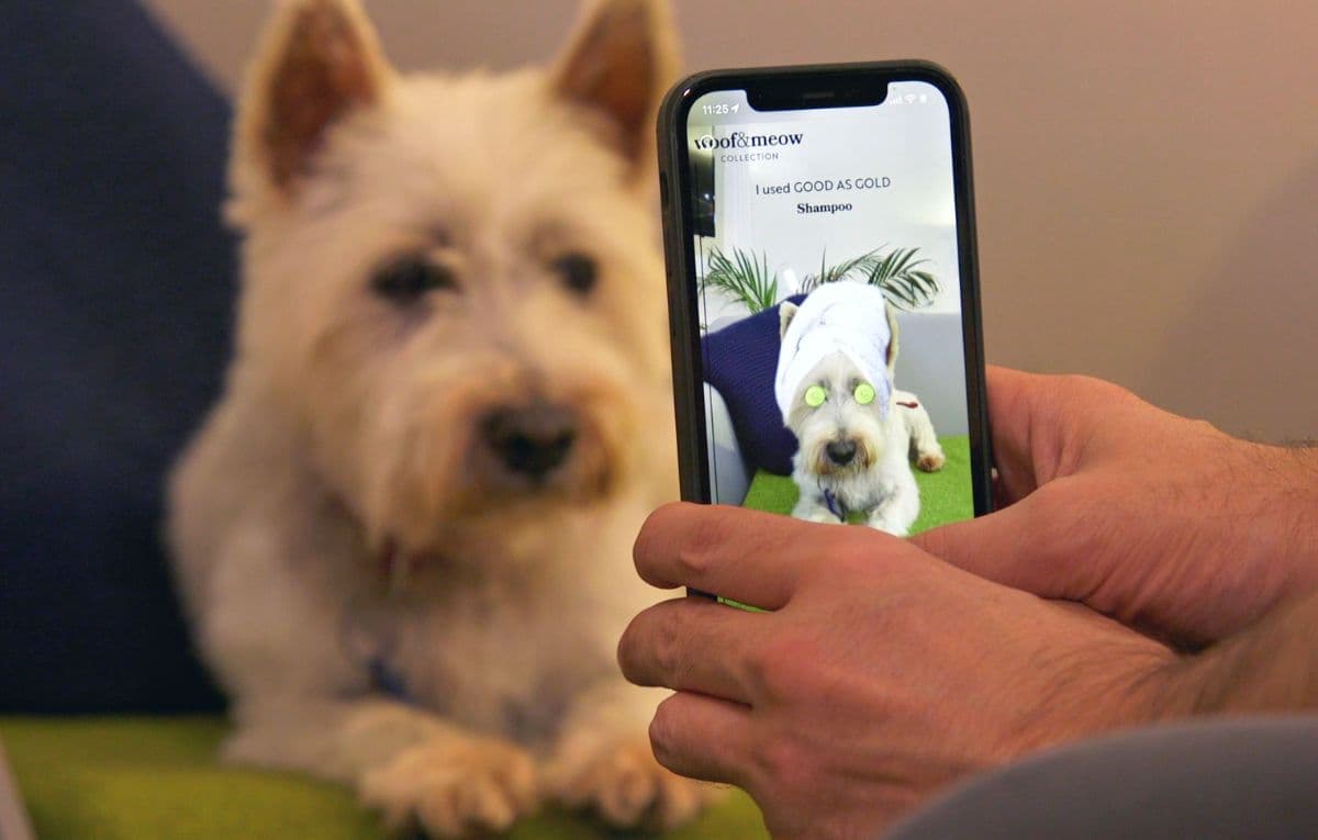 Interactive Pet Packaging